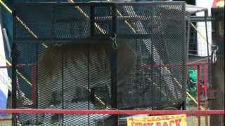 Bengal Tigers locked up in their cages - C\u0026M Circus (Culpepper \u0026 Merriweather Circus.)