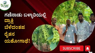 ಗಣಿನಾಡು ಬಳ್ಳಾರಿಯಲ್ಲಿ ದ್ರಾಕ್ಷಿ ಬೆಳೆದಂತಹ ರೈತನ ಯಶೋಗಾಥೆ!