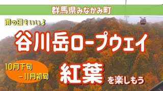 谷川岳ロープウェイで紅葉を楽しむ　群馬県みなかみ町の旅行観光スポット