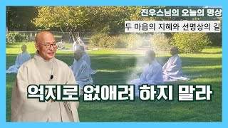 억지로 없애려 하지 말라 - 두 마음의 지혜와 선명상의 길 - 진우스님의 선명상 이야기 #선명상 #조계종 #진우스님