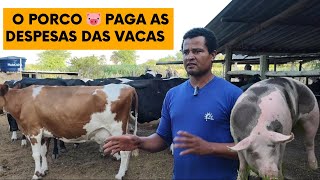 HE BELIEVES IN THE UNION OF DAIRY COW WITH CHEESE AND PORK
