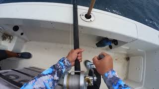 Madmacs bluefin tuna trolling, perfecting Ike Jime