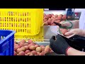 hai duong s lychee longan export successful beyond expectation