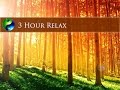 3 Hour Relaxing Music: New Age Music; Instrumental Music; Relaxation Music; Gentle Music π
114