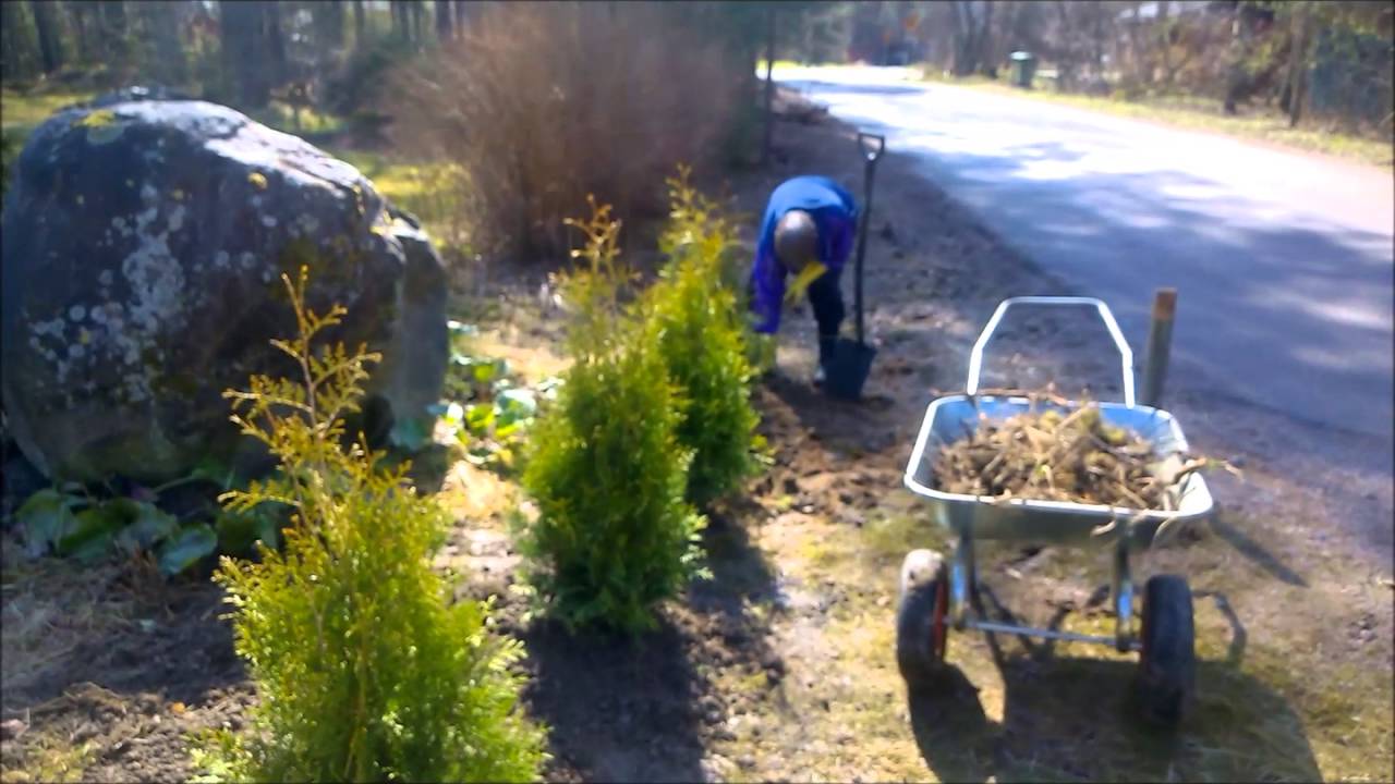 Tuijat Ruusujen Tilalle Youtube