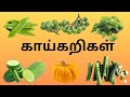 காய்கறிகள் பெயர்/ Learn vegetables  names in Tamil for kids and children  #  Bhuvesh Tv