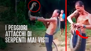 6 attacchi di serpente che avresti voluto non vedere mai