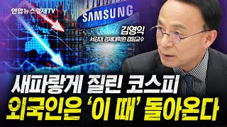 새파랗게 질린 코스피... 이때 외국인 들어온다 (김영익 1부) | 인포맥스라이브 20241113