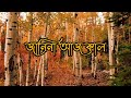 beshamal mon amar বেসামাল parvez faruk u0026 @shoilykhan1 @arjion lyrics video official