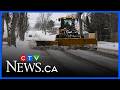 Snow causes cancellations, delays in Cape Breton