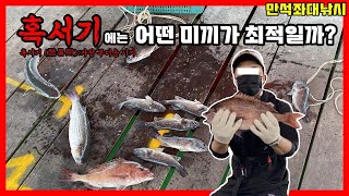 [만석좌대낚시]무더운 여름에 어떤 미끼를 사용해야할까?fishing