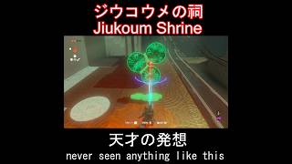 #shorts Zelda Jiukoum solved ジウコウメの祠　天才のクリア