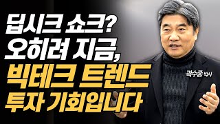 딥시크 쇼크? 오히려 지금이 미국 빅테크 기업 투자 기회입니다 (곽수종 박사)