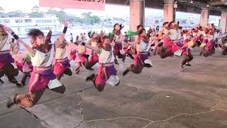 第一回よさこい東海道沼津祭り(2019/11/9)「fujihoku」