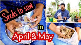 Seeds to sow in April \u0026 May, ఎండాకాలం ఈ విత్తనాలు నాటుకోవాలి #summer seeds #gardening