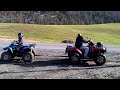 polaris 850 vs yamaha big bear