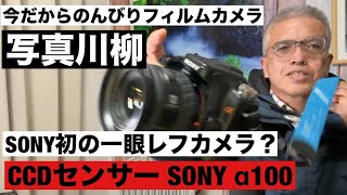 №1043 ソニー初？一眼レフカメラSONY α100ボディ内手ぶれ補正「写真川柳」発表！