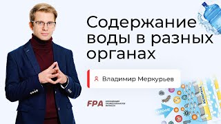 Содержание воды в разных органах | Владимир Меркурьев (FPA)