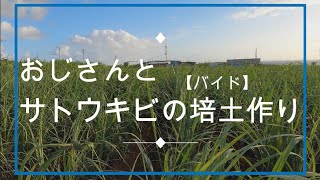 サトウキビ畑の培土【バイド】作り  Sugarcane farm work with my Uncle (^^)