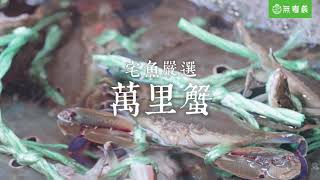 無毒農產地直擊｜宅魚嚴選萬里蟹