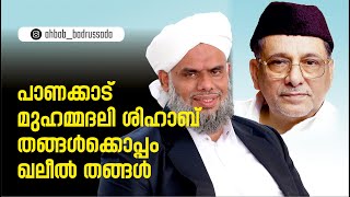 പാണക്കാട് ശിഹാബ് തങ്ങള്‍ക്കൊപ്പം ഖലീല്‍ തങ്ങള്‍ | Sihab Thangal | Khaleel Thangal | Badrussada