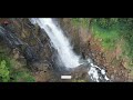 ಅಡವಿ ದೇವತೆಯ ಆಭರಣ ಈ ದೇವಕಾರು jungle dairy devkar falls yellapur