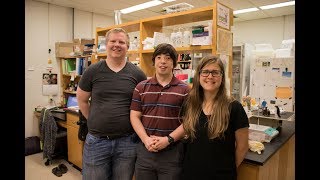 Breaking Barriers to Research Access
