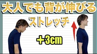 【驚愕】身長が伸びて脚やせするストレッチ【800人以上が共感】