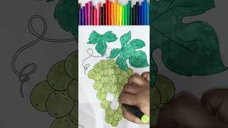 Grapes #shortvideo #shorts #viralvideo #trending #anaya #amaira