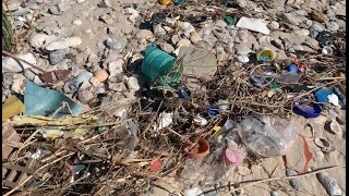 SPLASh Lesson: Debris in the Marine Environment