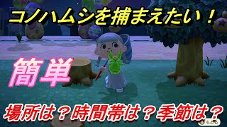 あつまれどうぶつの森　コノハムシを捕まえる条件とは！？季節は？場所は？時間帯は？　虫図鑑コンプへの道！虫捕り攻略。　最新版【あつ森】