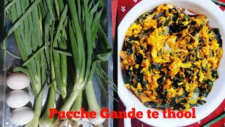 Pucche Gande te thool : easy and quick recipe of Kashmir( egg with spring onions)