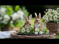 🌿🐰 bunnies blooms u0026 antique treasures an english country easter spring wonderland 🌷🏡