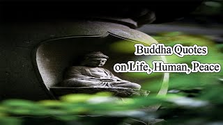 Buddha Quotes on Life, Human, Peace
