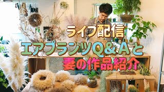 妻のドライフラワー作品を紹介しながらチランジア・ビカクシダ・塊根植物のご質問にお答えします