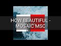 How beautiful - Mosaic MSC ( Instrumental with lyrics)