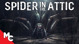 Spider In The Attic | Full Movie | Monster Horror | Happy Halloween