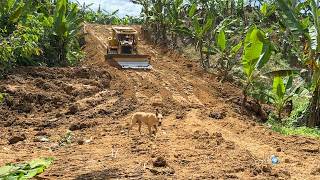 Very good! CAT D6R XL Bulldozer Repairs Grassy Plantation Roads to Perfection