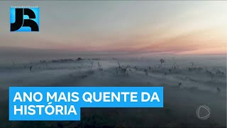 Planeta registrou o ano mais quente da história em 2024