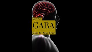 GABA Makes New Brain Cells