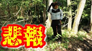 マキタの本気でキャンプ場開拓の要『草刈り』を行ったところ、大事なところが○○でした…【約200日でキャンプ場を作る】#061