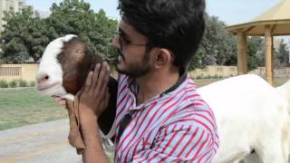 THE REAL QURBANI