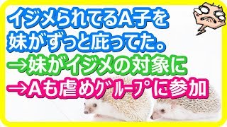 【スカッとする話 学校】イジメられてるA子をかばった妹→今度は妹が標的に→いじめっ子グループにAも参加し始めた結果 【スカットマン】