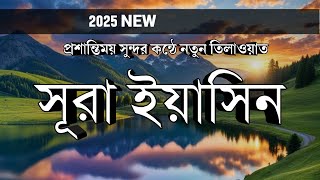 সূরা ইয়াসিন এর সুন্দর তিলাওয়াত ) Heart Touching Surah Yasin Recitation I by   Ahmad Shalabi