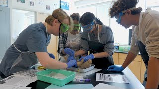 Exploring Forensic Science