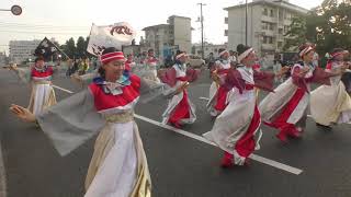 チーム満天星☆2019水島よさこい　八間川通りパレード　夢舞踏会