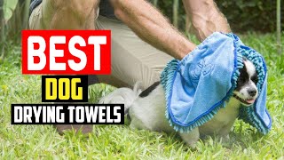 ✅Top 5 Best Dog Drying Towels in 2023