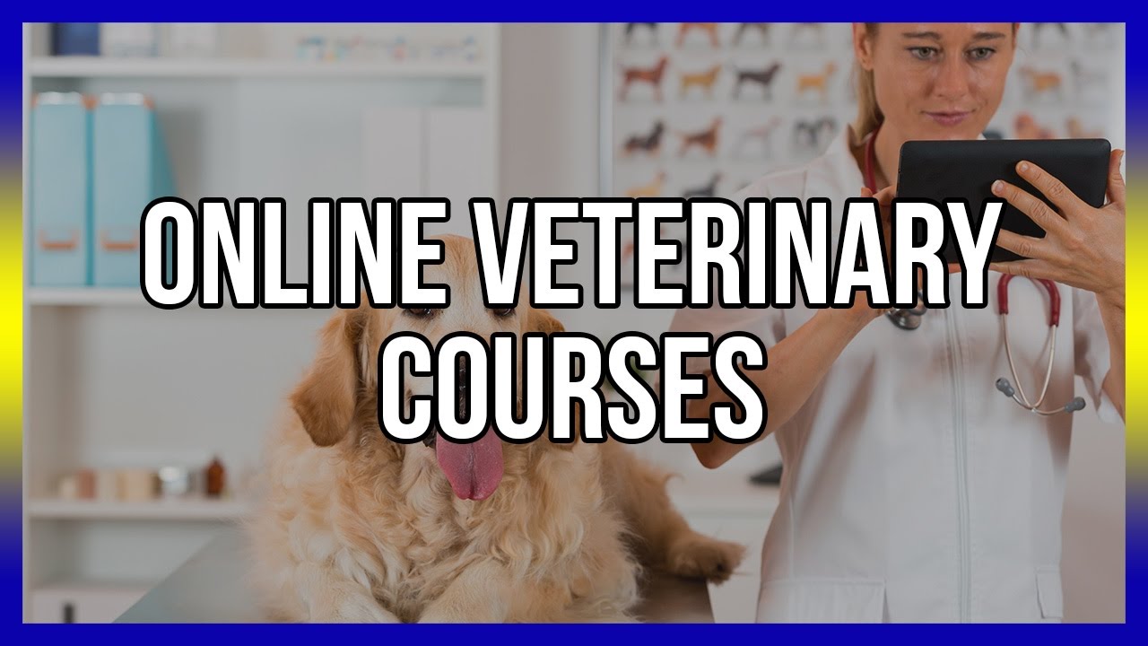 Online Veterinary Courses - Free CE Below - YouTube