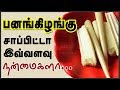 பனங்கிழங்கு மருத்துவ பயன்கள் | Pana Kilangu | Panam Kizhangu | Palm Sprouts Health Benefits Tamil