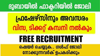 ദുബായിൽ ഫുഡ് കവർ ഉണ്ടാകുന്ന കമ്പനിയിൽ ജോലി | വിസ , ടിക്കറ്റ് ഫ്രീ |  Factory Jobs In Dubai |Gulf Job